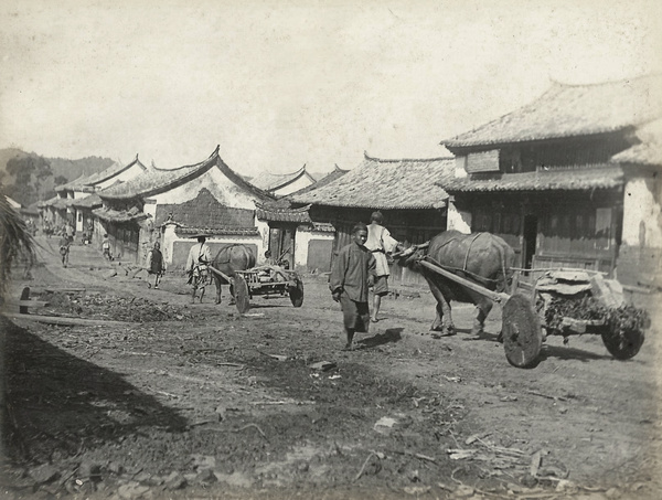 Buffalo carts in Szemao, Yunnan Province