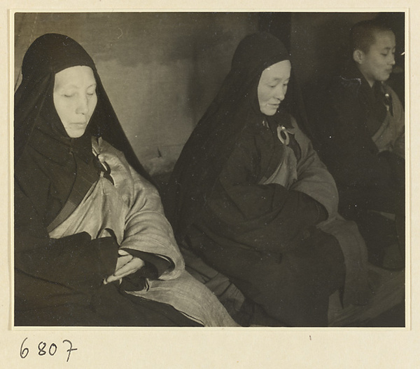 Buddhist nuns meditating