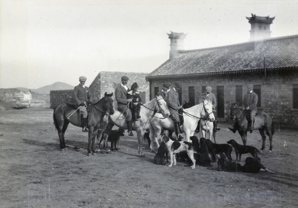 Horses and pack of hounds, 1903