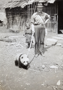 Mr Beatty guiding a baby panda to face the camera