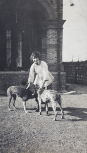 Mrs Koskey, wearing Chinese style clothing, with two Pointer dogs in the garden, 35 Tongshan Road, Hongkou, Shanghai