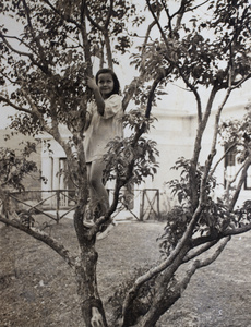 Kristine Thoresen climbing a tree, Hong Kong