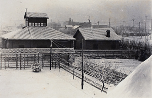 Snow falling on the trellis, tennis lawn, vegetable garden, and recently constructed Roselawn Dairy buildings, 35 Tongshan Road, Hongkou, Shanghai