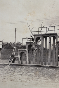Bill and Harry Hutchinson diving with Booby, at the Open Air Pool, Hongkou, Shanghai