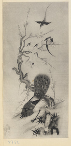 Painting of a peacock, birds, and flowers with inscription on silk