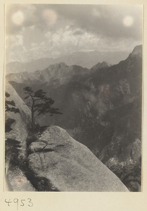 Tree on a rock ledge below Qi ting on East Peak of Hua Mountain with Qinling mountains in background
