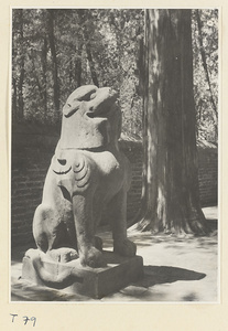 Figure of a winged stone leopard on the Yong Lu leading to Xiang dian at the Kong miao in Qufu