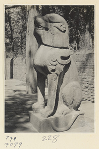 Figure of a winged stone leopard on the Yong Lu leading to Xiang dian at the Kong miao in Qufu