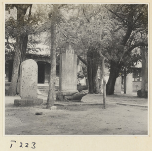 Stone stelae and tortoise stelae in courtyard at Ling yan si