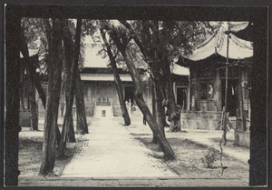 Sian.  The Confucian Temple.  From porch above, second courtyard.