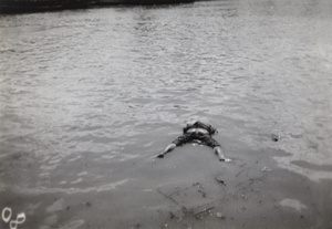 The corpse of a man with his hands tied behind his back, floating in Soochow Creek, Shanghai, August 1937
