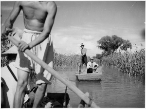 Boating past flooded fields of kaoliang sorghum, Central Hebei province, 1938