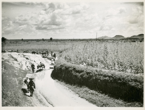 Mules and baggage on the way to Yan'an (延安), Jinchaji, 1944