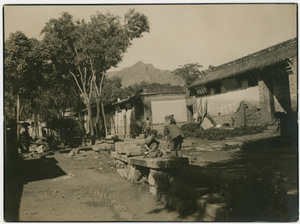 Village space with millstones and drying crops