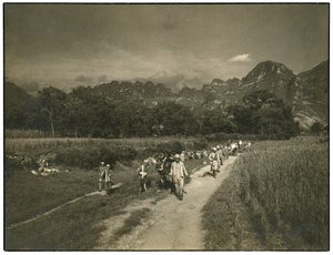 Eighth Route Army soldiers on a road with mules by fields