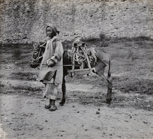 A woman with a donkey near city walls