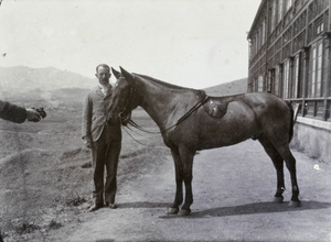 Colonel Ruxton with a horse, 1st Chinese Regiment, outside the regiment's headquarters, Weihaiwei