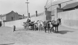 Horse, donkey and bullock cart, Antung