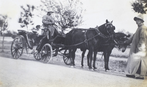 Mafoo with a carriage and two horses